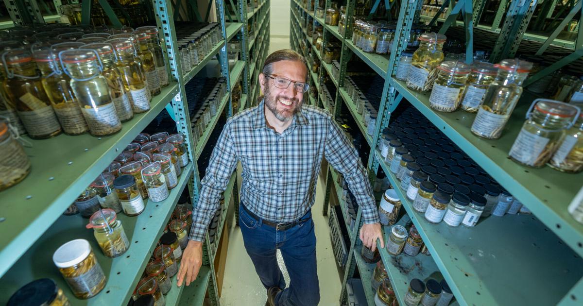 Tulane stores 8 million fish in a World War II bunker