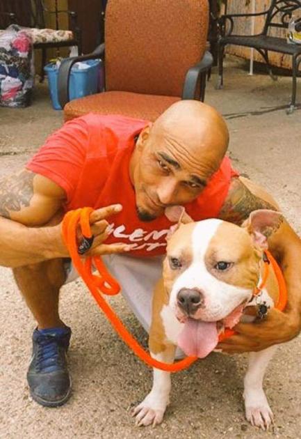 pit bulls parolees star ex tulane
