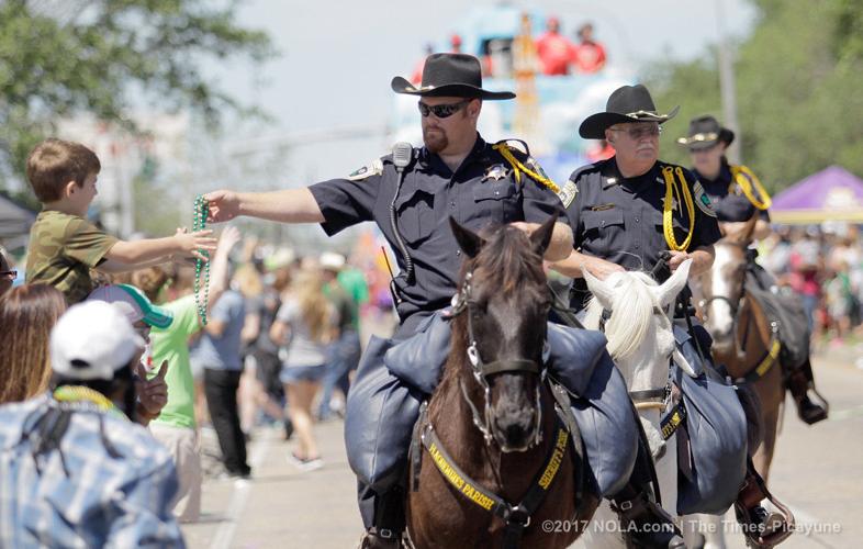 St. Bernard Irish Italian Islenos parade Photos Archive