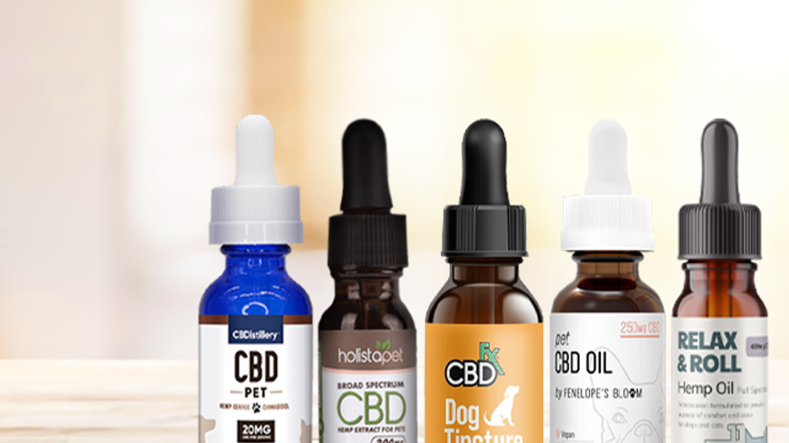 Best cbd oil for dogs with hip dysplasia deals