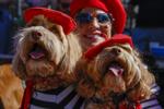Barkus Parade 07.jpg