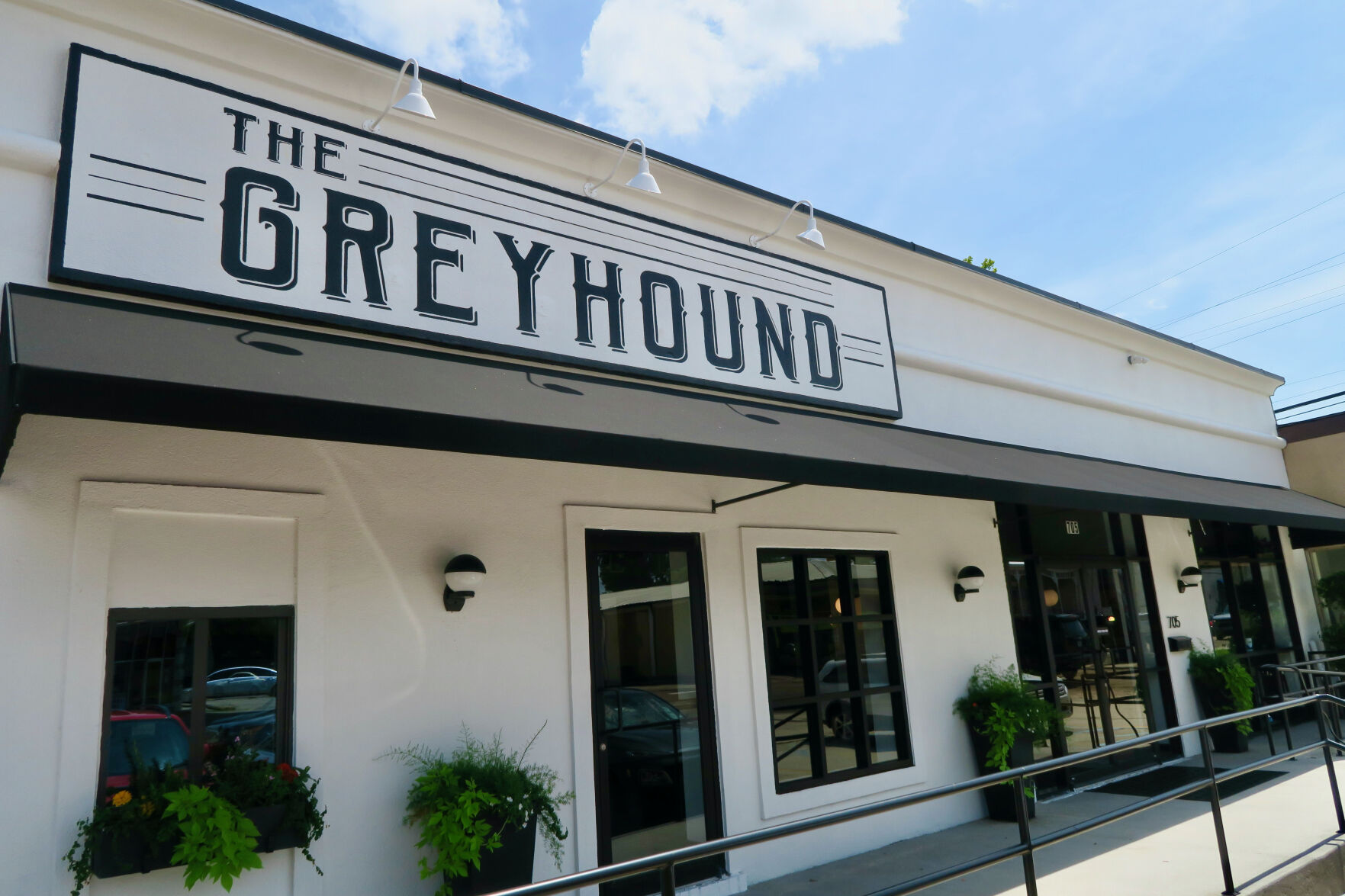 The greyhound shop