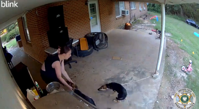 Women caught on camera stealing puppies from Loranger home | Crime ...