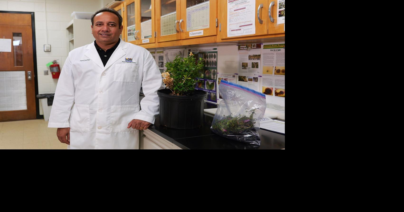 The doctor is in: LSU AgCenter team can help with diagnosis when your plants get sick