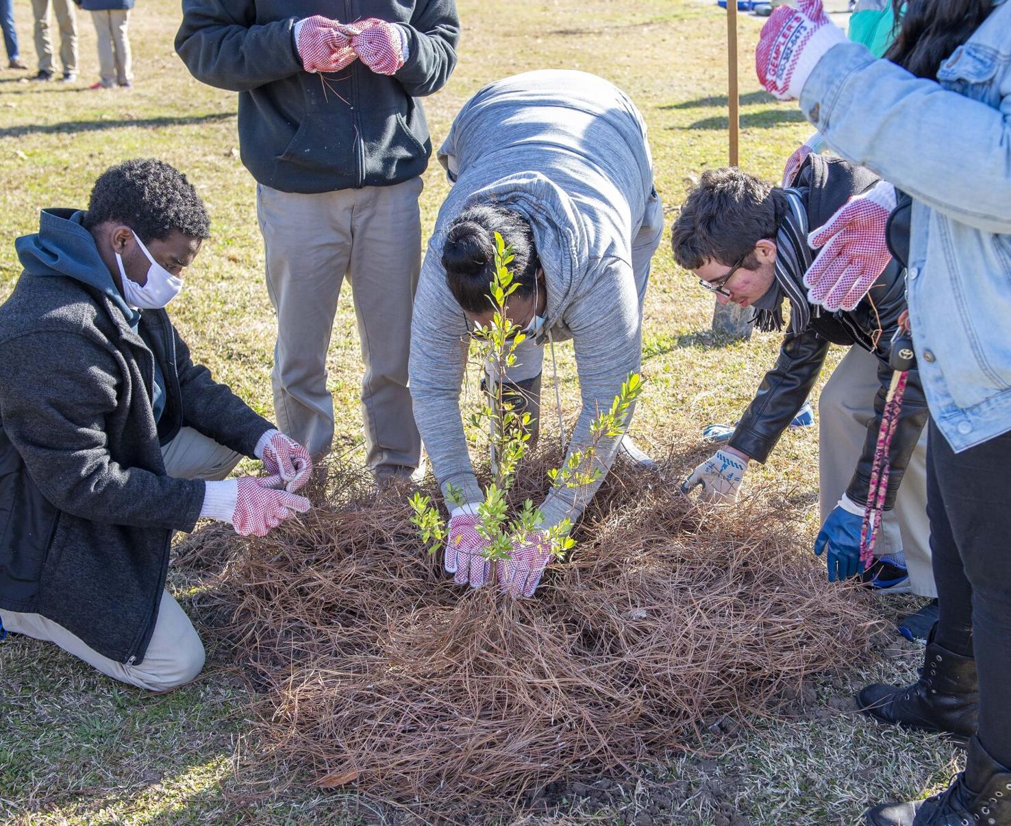 Why mulch your garden? It saves time, labor and helps keep weeds at bay