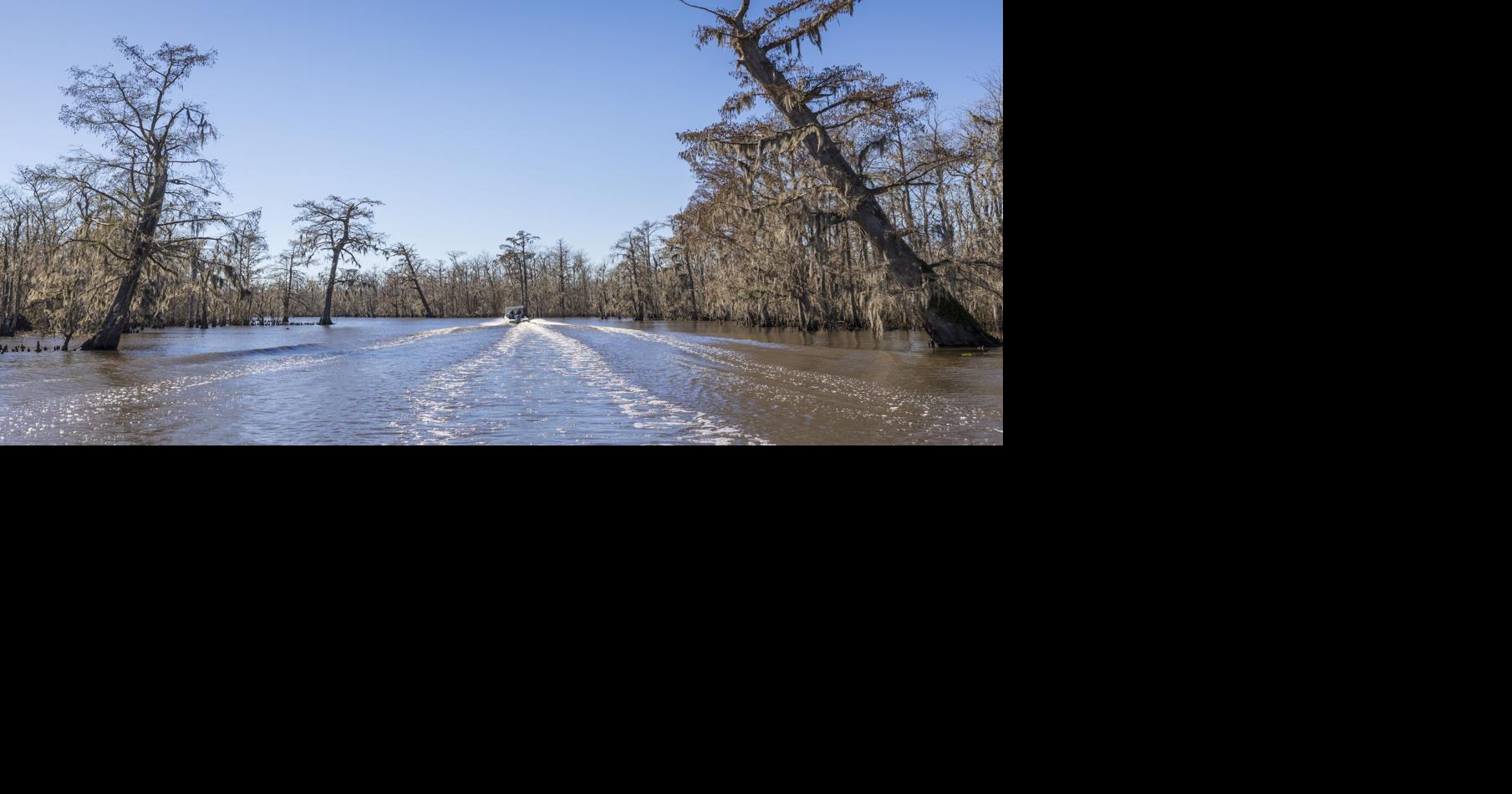 Maurepas Swamp diversion construction contract awarded Environment