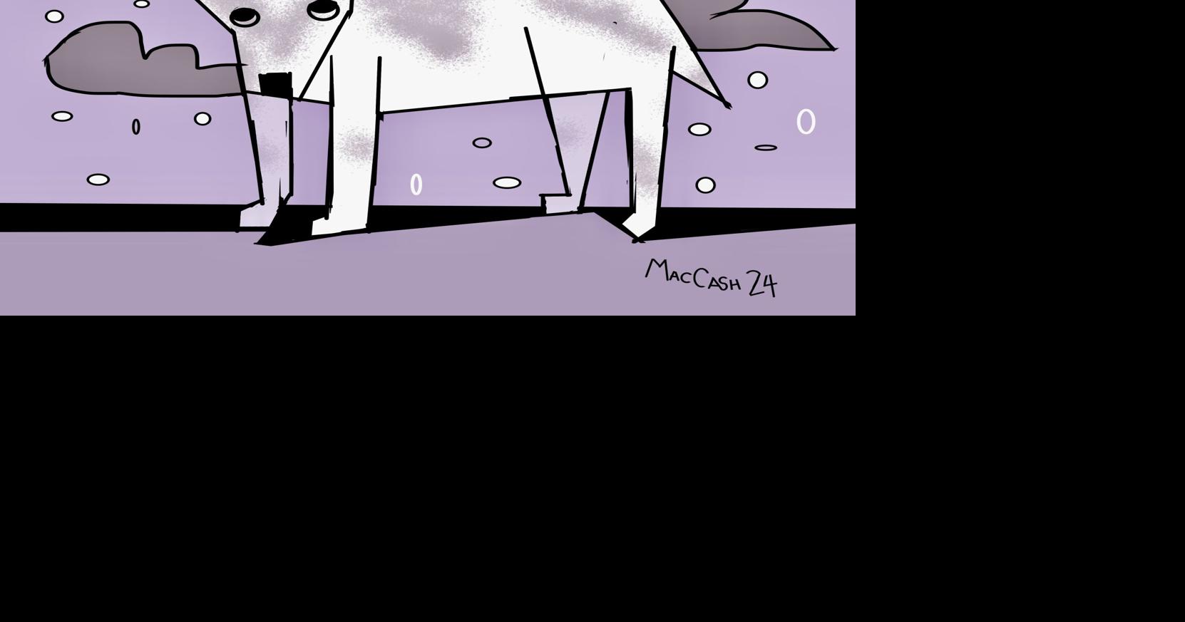 How will Scrim the stray dog survive the coming cold snap? | Entertainment/Life