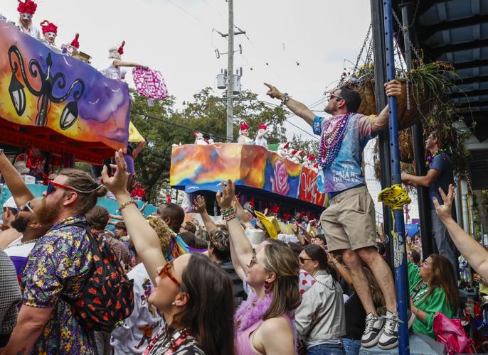 Isis Parade New Orleans City Hall hosts Mardi Gras at loss, study shows | Mardi ...