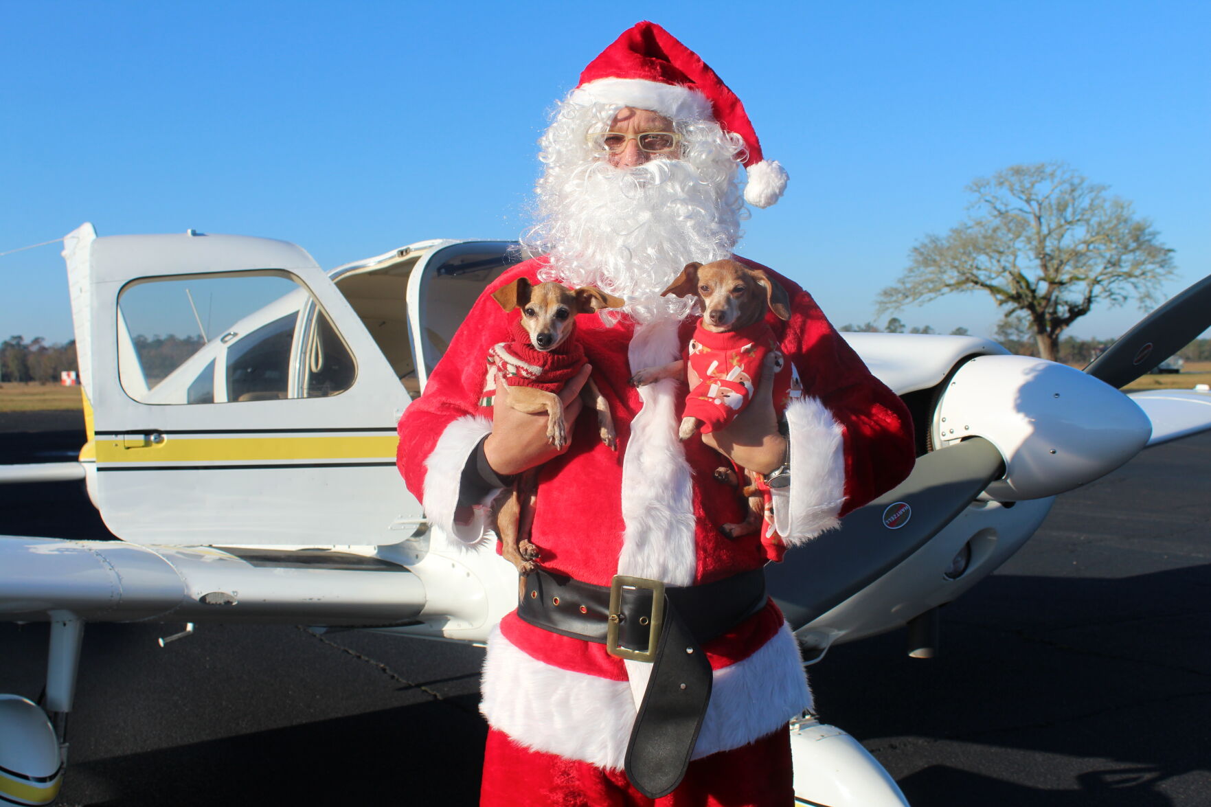 Homeless Louisiana dogs take a miracle ride with Santa to a new family - Vimarsana News