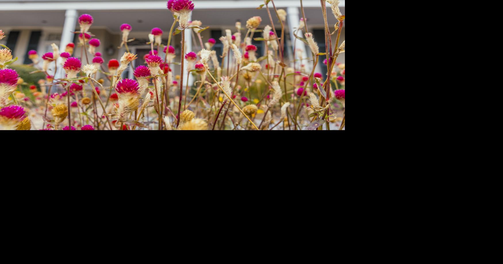 500 yards across Louisiana are now certified to help protect native plants and wildlife