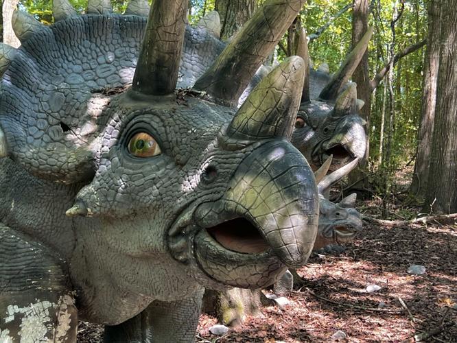 Prehistoric Park in Breaux Bridge features 28 dinosaurs Entertainment
