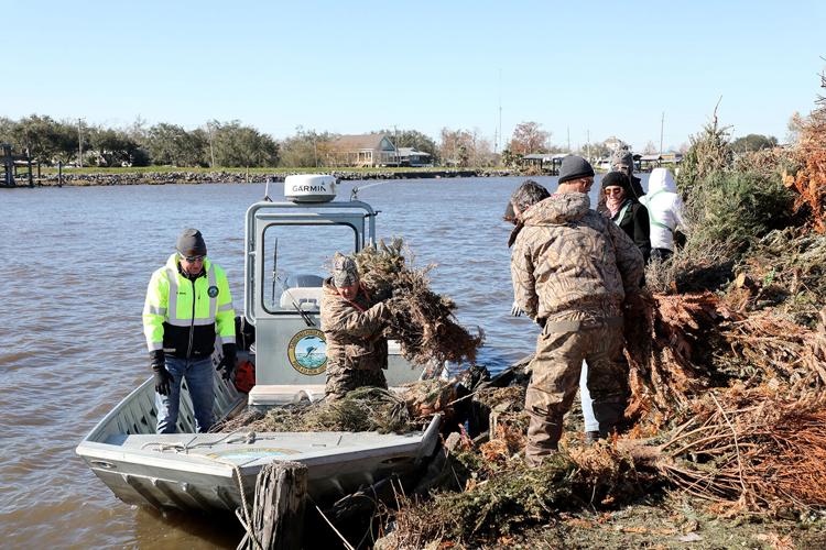 Christmas Tree Disposal Scheduled In Riverbank - Riverbank News