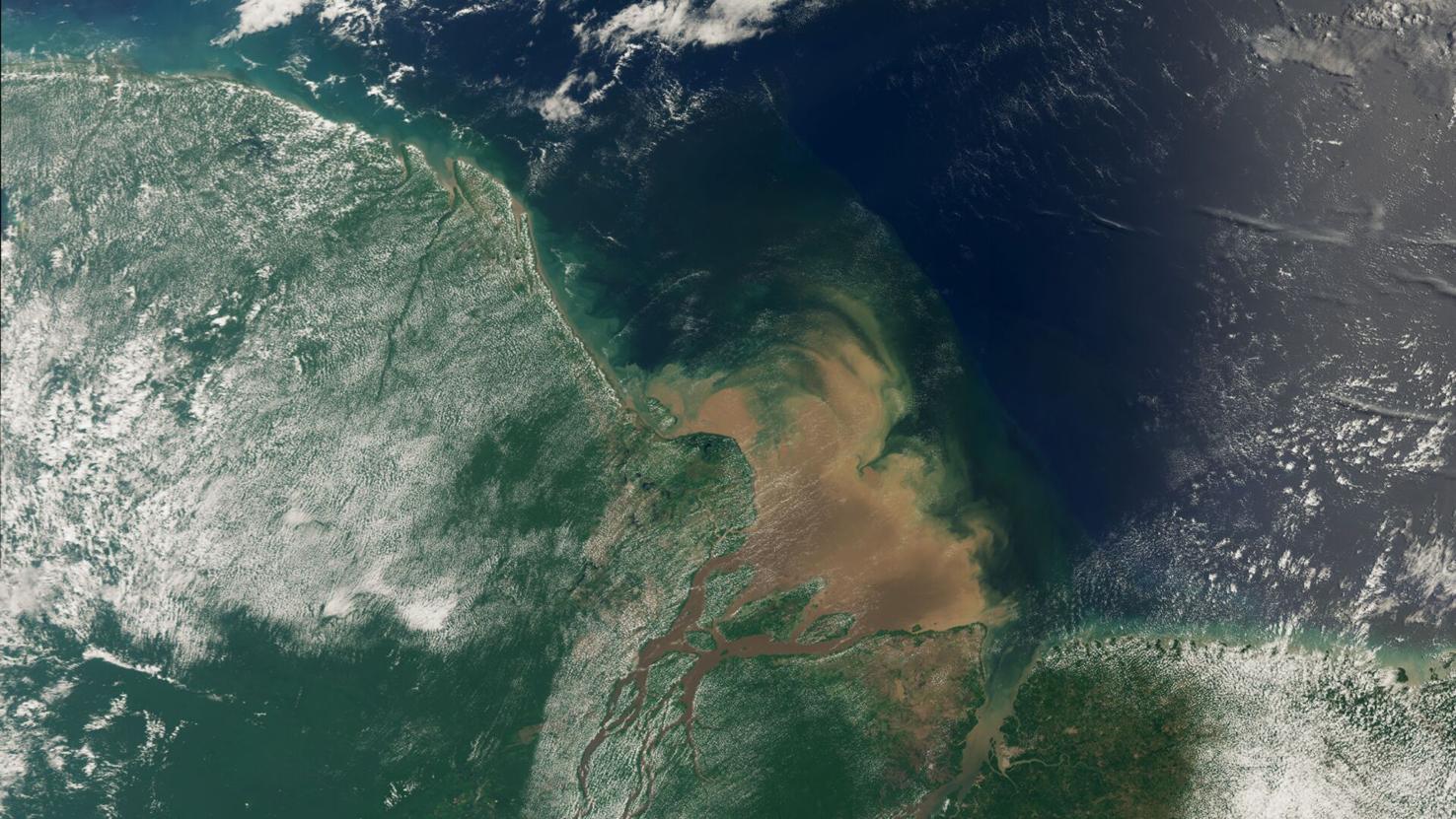 Amazon destruction linked to the largest belt of algae on the