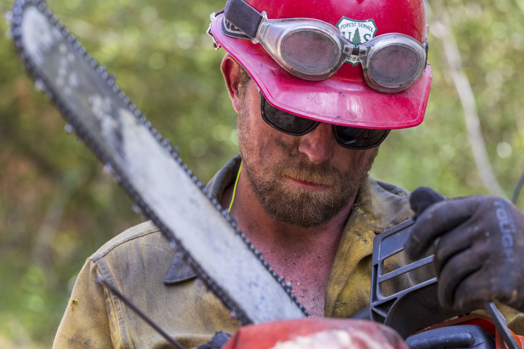 nola.com - Margaret Kates - Can wildfires be predicted? LSU researchers win recognition for AI wildfire tech
