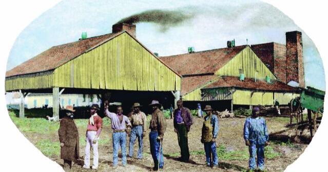 A Louisiana plantation will honor 1,400 Black men who fought for freedom on Veterans Day
