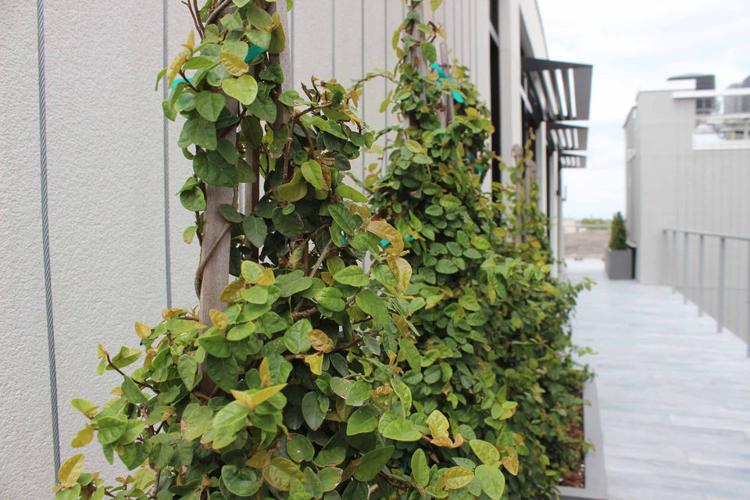 View of Miami Luxury Condos: Pioneering Sustainable Living Standards