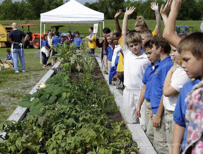 LSU AgCenter hosts AgMagic on the River at Docville Farm | Education ...