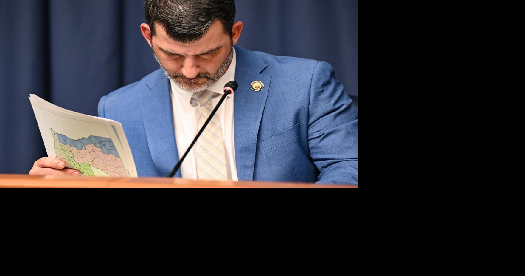 Louisiana senators unveil proposed Congressional map | Local Politics ...