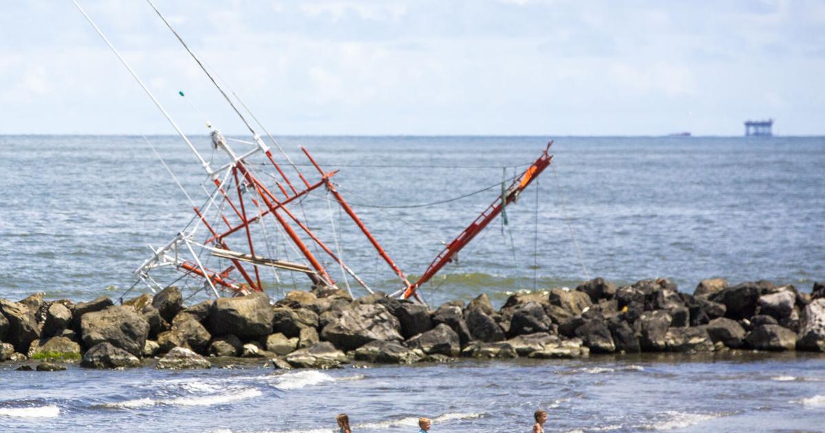 Gulf waters under threat from Vibrio bacteria
