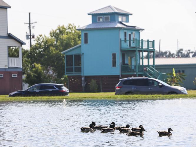Bayou St. John tops its banks, seeps into yards after water valve
