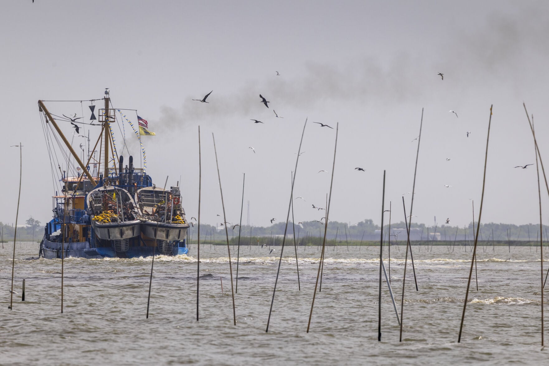 nola.com - by Justin Solet - Guest Column: After decades of oil and gas, the Gulf may be confronting offshore fish farms