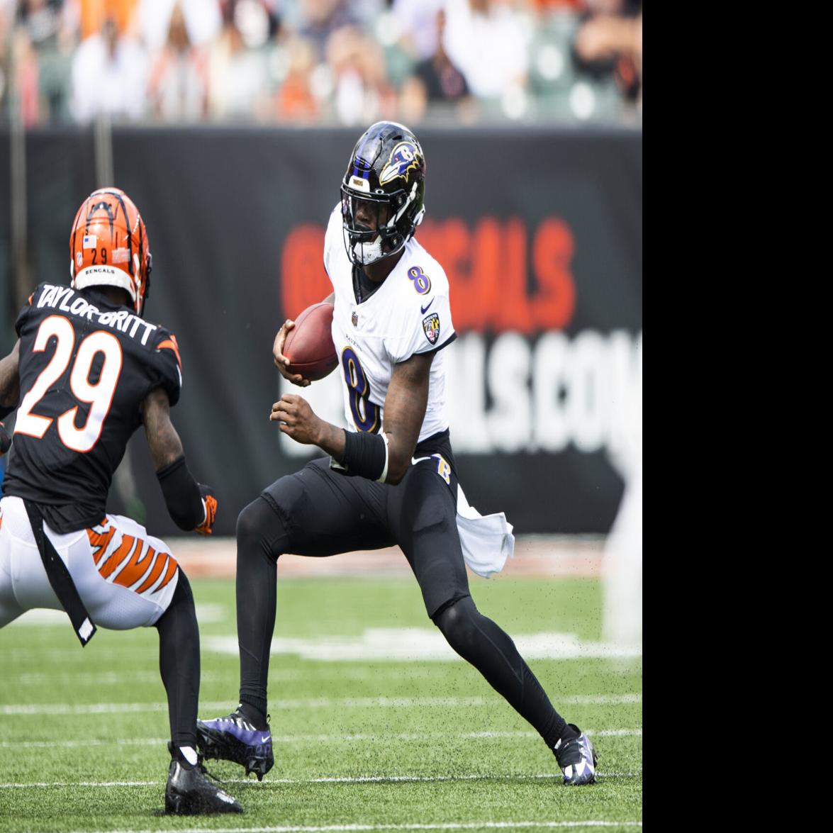 AFC North Predictions 2024 Division Winner Odds & Best Bet verloop.io