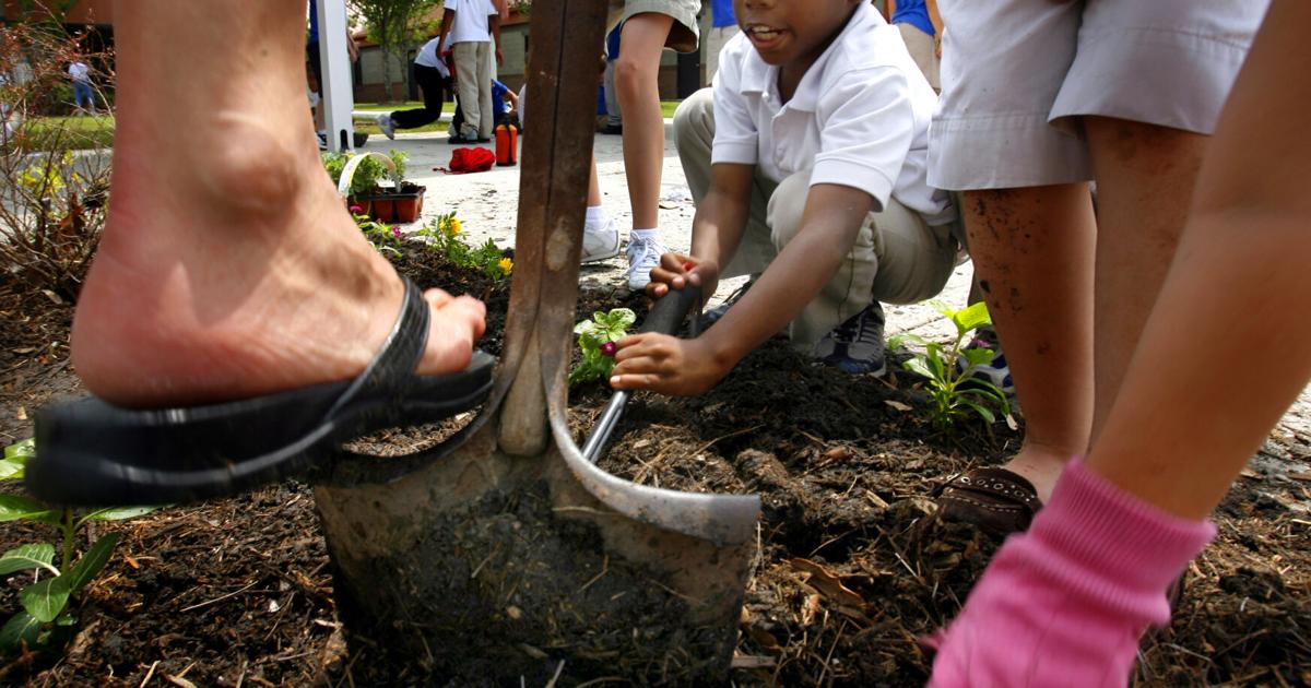 Use these tips to avoid injuries while working in the garden | Home/Garden Use these tips to avoid injuries while working in the garden | Home/Garden