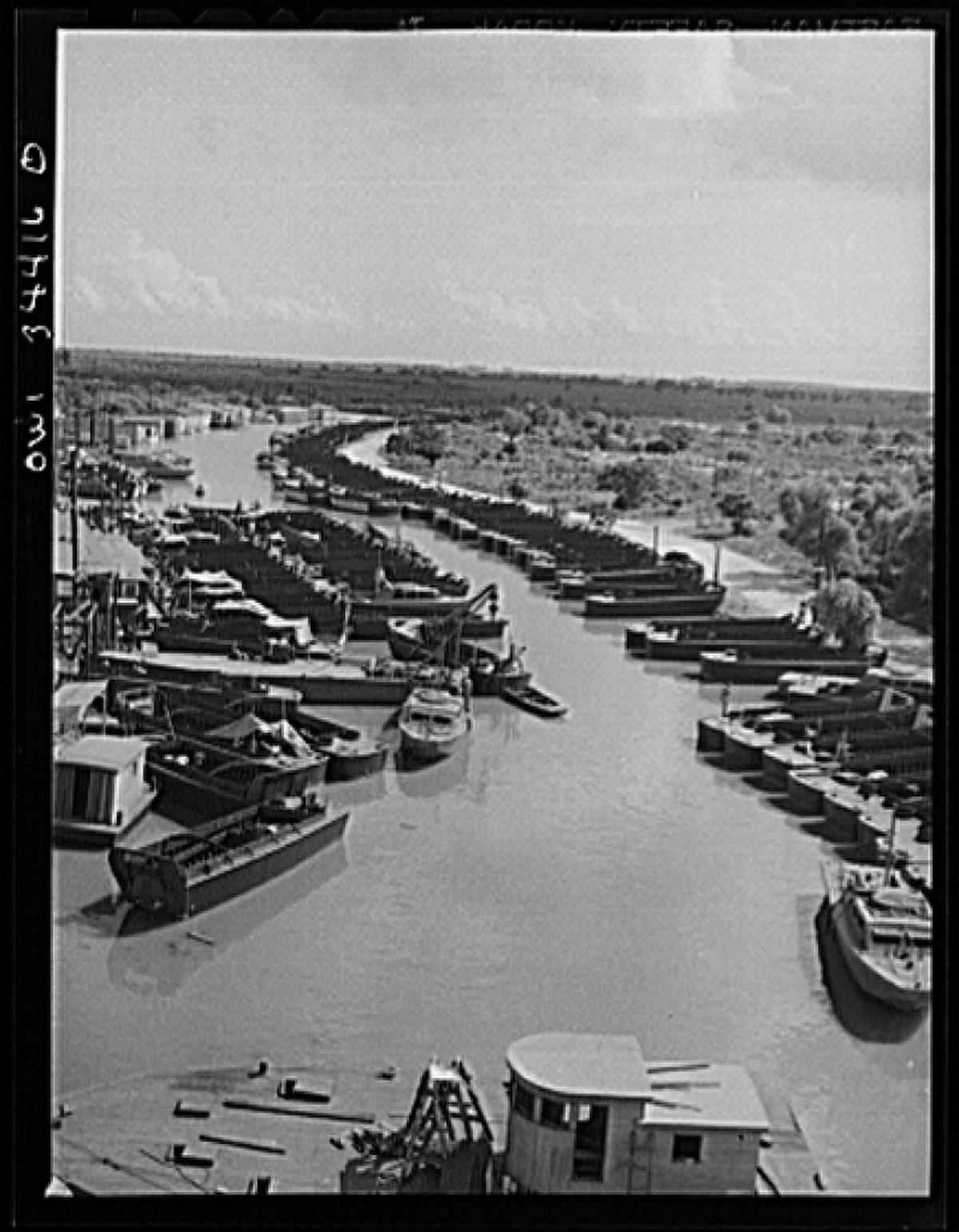 New Orleans Nws - zazumh2
