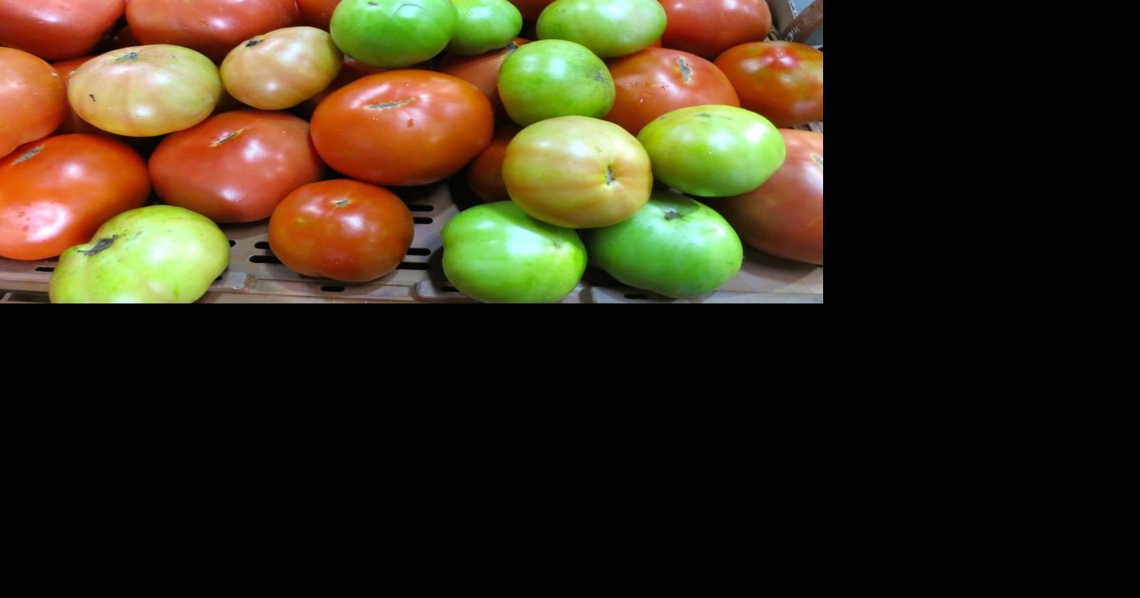 Tomato Festival April 2123 at Chalmette's OLPS school Louisiana