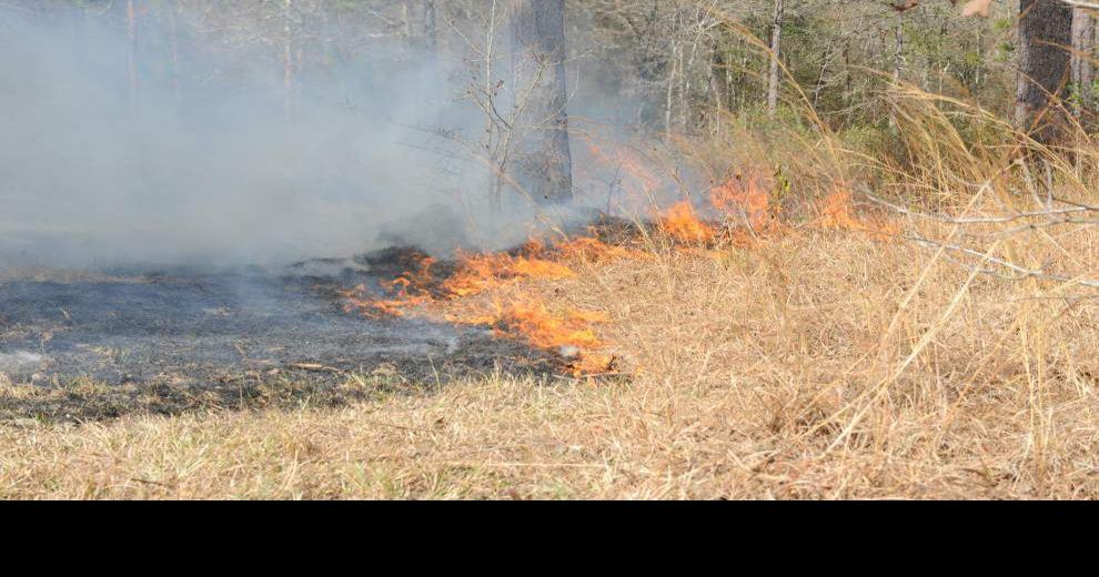 Statewide burn ban goes into effect at 8 a.m. Wednesday St. Tammany
