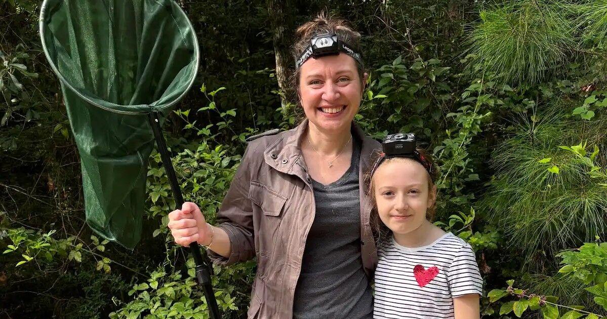 The search for fireflies is on in St. Tammany Parish