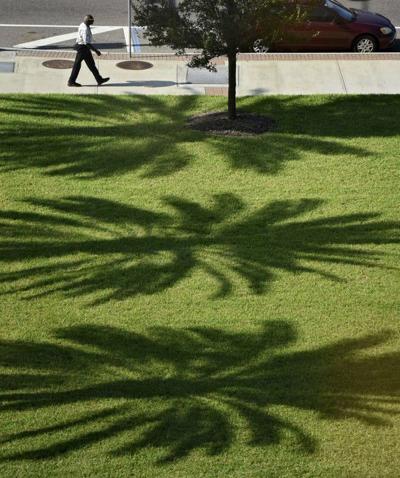 When is the best time to fill a bumpy lawn with pump sand? | Home ...