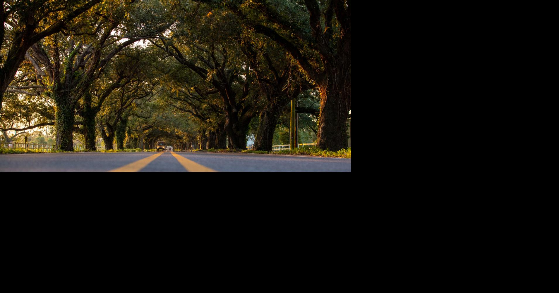 Photos: St. Bernard is a delightful day trip from New Orleans for food