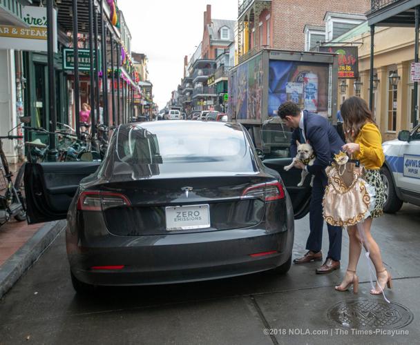 A lamb chop for Barkus royalty at Galatoire's in New Orleans, Hail
