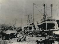 campanella 6 steamboats 1902