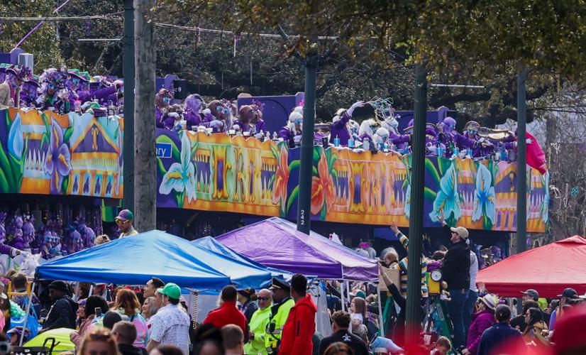 mardi gras parade rules