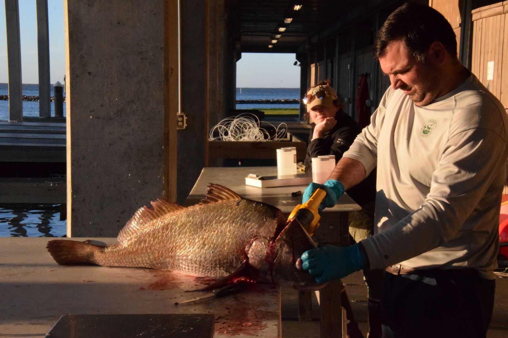 nola.com - Mike Smith - Why do scientists want earbones from Louisiana anglers' fish? 'It's critically important.