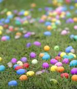 Campo de huevos de Pascua