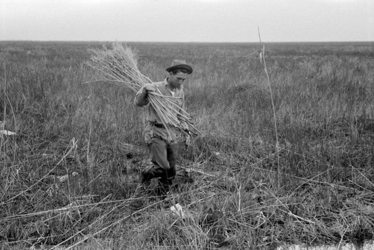 1778 The Islenos arrive in Louisiana 300 for 300