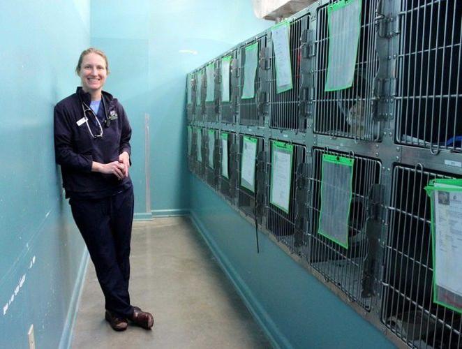 How to a veterinarian Career advice from 4 New Orleans vets Business News