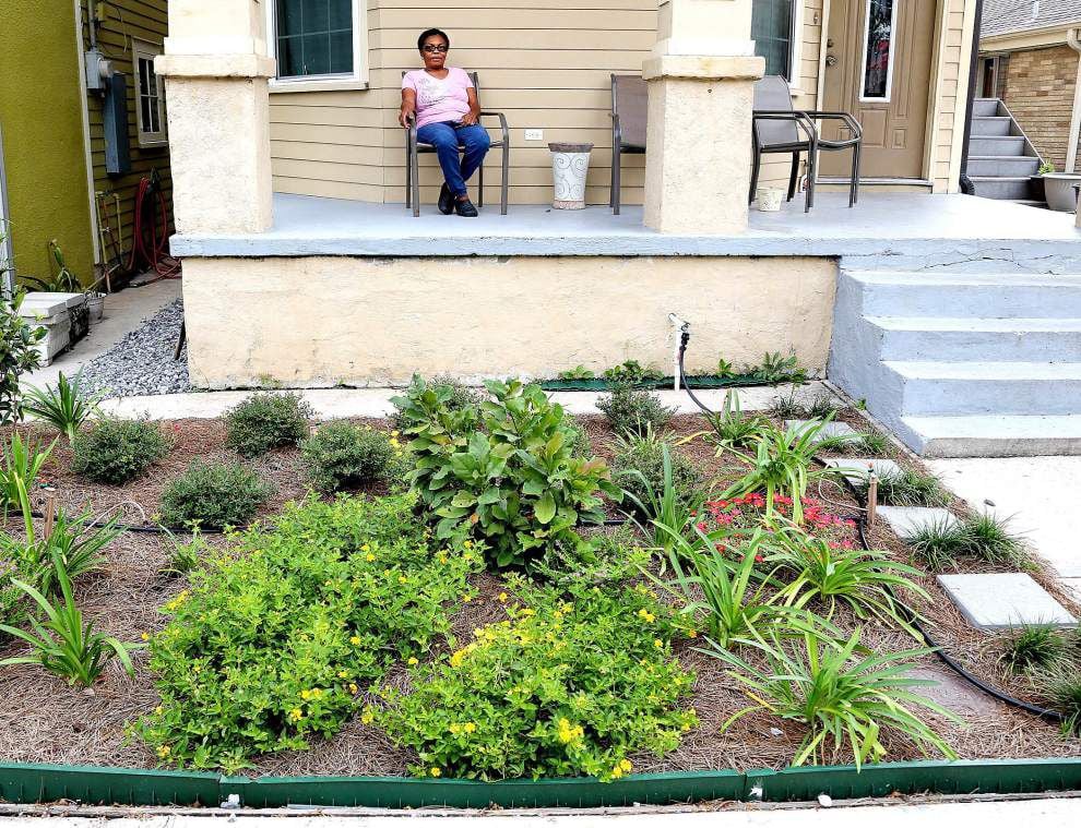 Concrete lawns cause flooding, but the Front Yard Initiative is here to