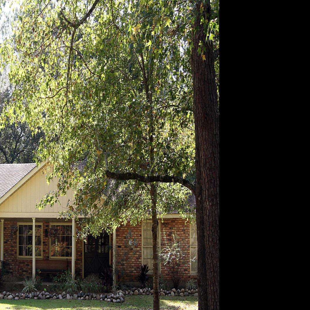 St Tammany Property Transfers Aug 30 Sept 13 2019 Business