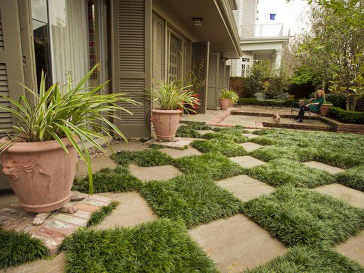 How And When To Cut Back Liriope Monkey Grass Other Ground Covers Home Garden Nola Com How And When To Cut Back Liriope, Liriope Ground Cover Plant