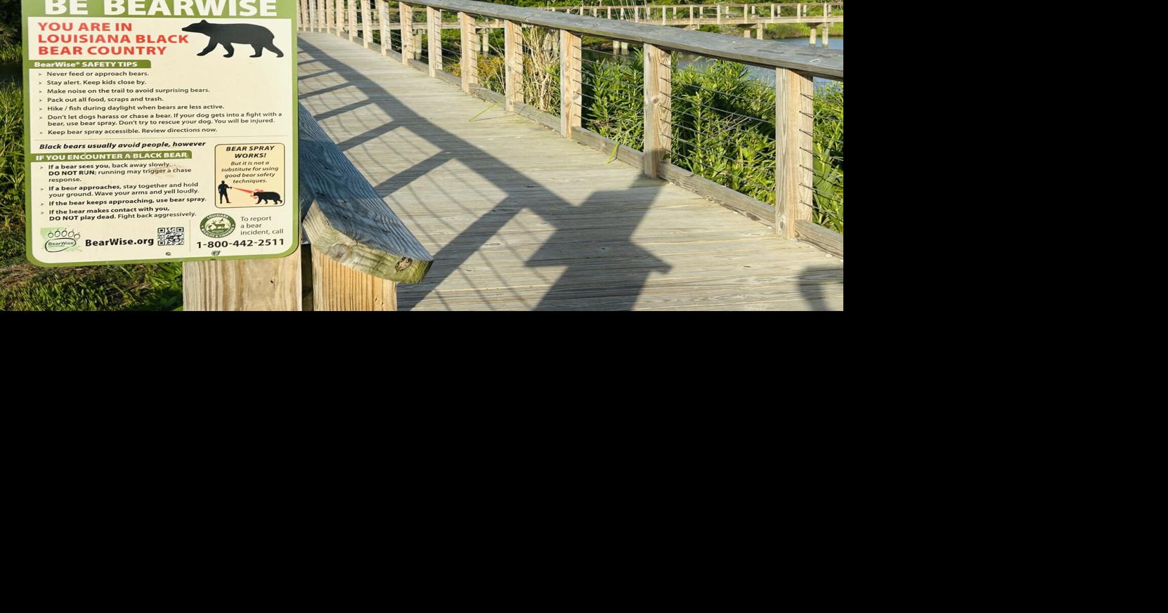 Louisiana black bear found shot dead. A reward is being offered for tips.