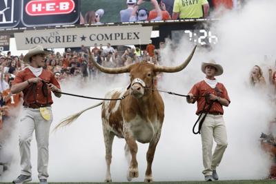 Peta Calls For End To Live Mascots After Bevo Uga Incident At