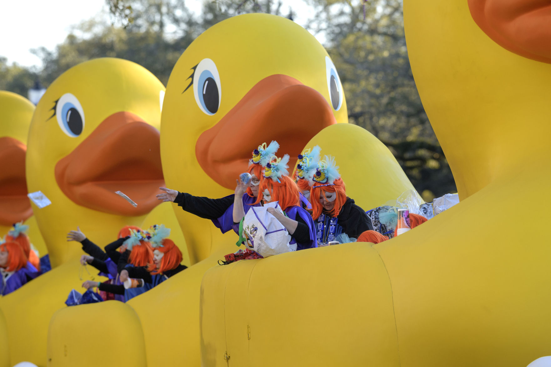 Mardi gras hot sale rubber ducks