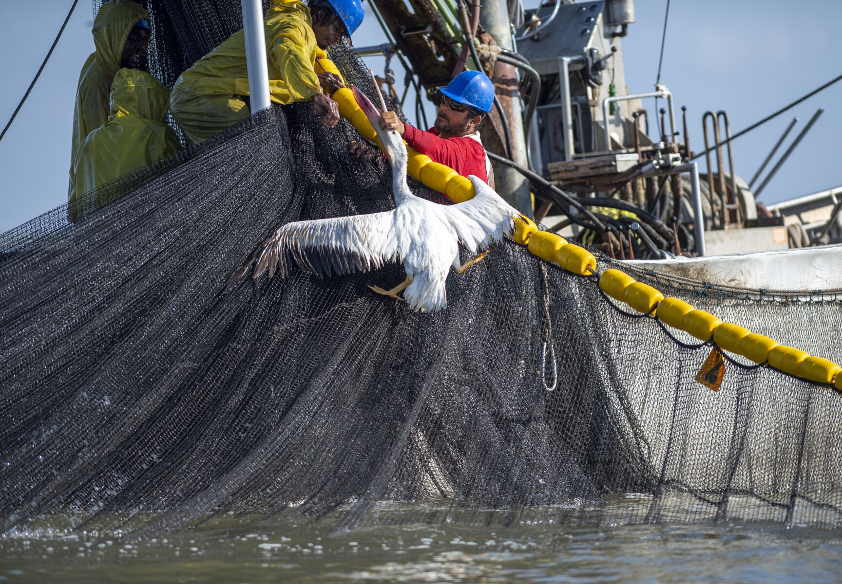 New Louisiana pogy boat rules could hurt profits report