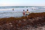 Tourists and sargassum at Gulf of Mexico