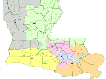 Court stops Louisiana move to halt redrawn congressional map | Courts ...