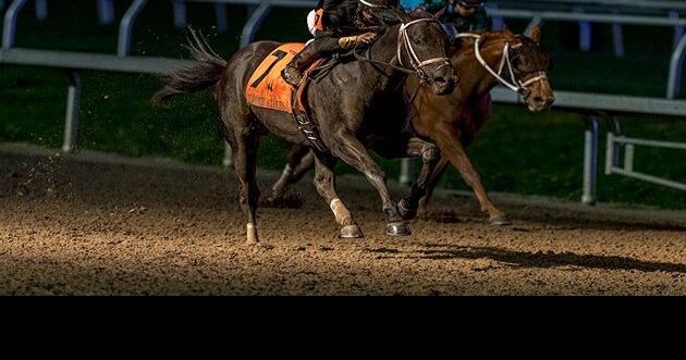 Jeff Duncan: At the Louisiana Derby, this Brad Cox trio headlines a deep, talented field